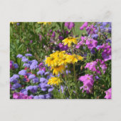 Foto eines Haufen wunderschöner farbiger Blume Postkarte (Vorderseite)