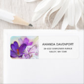 Foto eines Hübschen Lila Frühlingskrokus (Insitu)