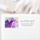 Foto eines Hübschen Lila Frühlingskrokus (Insitu)