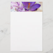 Foto eines Hübschen Lila Frühlingskrokus Briefpapier (Vorderseite)
