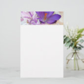 Foto eines Hübschen Lila Frühlingskrokus Briefpapier (Stehend Vorderseite)
