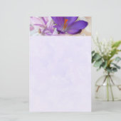 Foto eines Hübschen Lila Frühlingskrokus Briefpapier (Stehend Vorderseite)