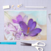 Foto eines Hübschen Lila Frühlingskrokus Seidenpapier (Handwerk)