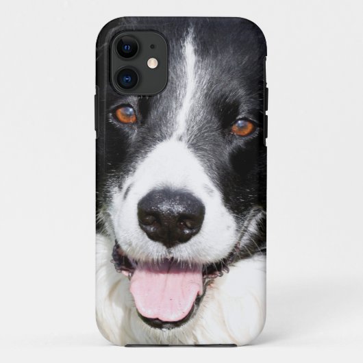 Foto eines Hundes Case-Mate iPhone Hülle (Rückseite)