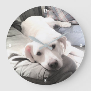 Foto eines Hundes, der neben seinem besten Freund  Große Wanduhr