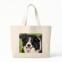 Foto eines Hundes