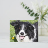 Foto eines Hundes Postkarte (Stehend Vorderseite)