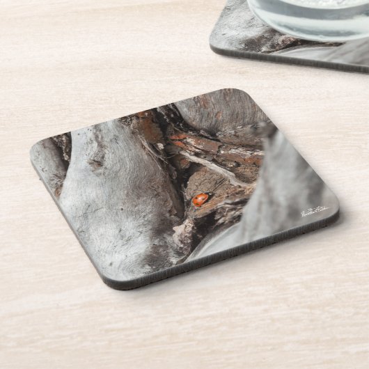 Foto eines Käfers Untersetzer (Linke Seite)