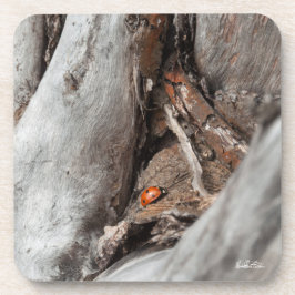 Foto eines Käfers Untersetzer