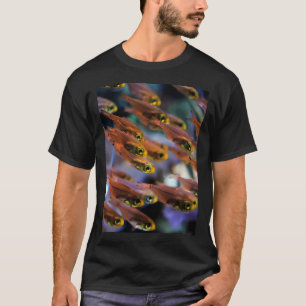 Foto eines kleinen orangen transparenten Fisches, T-Shirt