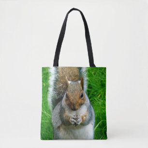 Foto eines Niedlichen Eichhörnchens in einem Gart Tasche