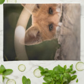 Foto eines Niedlichen kleinen Fuchses Geschirrtuch (Gefaltet)