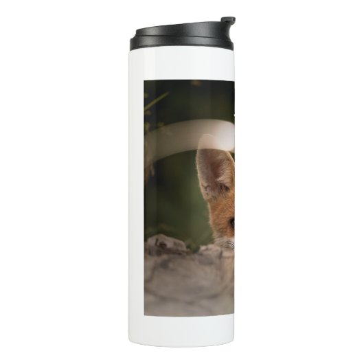 Foto eines Niedlichen kleinen Orangenfuchs aus Ede Thermosbecher (Nach links gedreht)