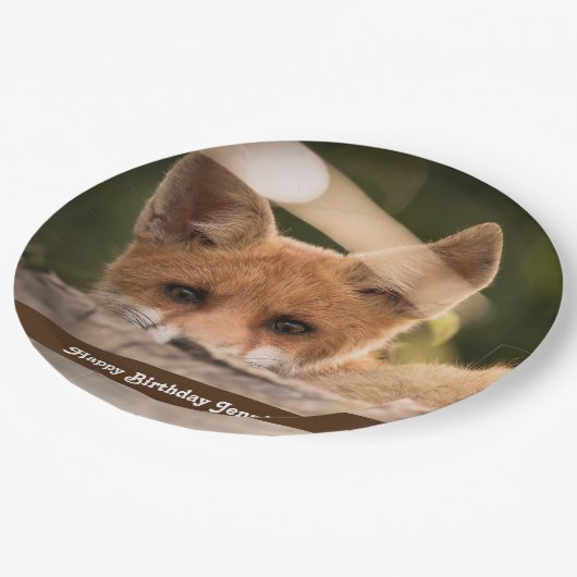 Foto eines Niedlichen kleinen Orangenfuchs zum Geb Pappteller (Schrägansicht)