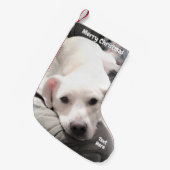 Foto eines Niedlichen, müde Welpenhundes mit Vater Kleiner Weihnachtsstrumpf (Vorderansicht (hängend))