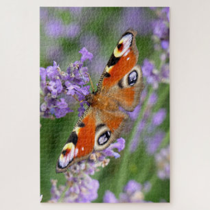 Foto eines Pfauenauges auf einer Blume Puzzle