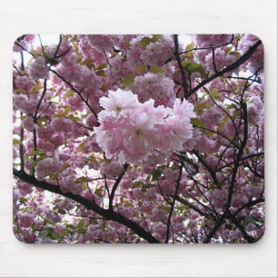 Foto eines rosa Kirschblütenbaums Mousepad