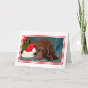 Foto eines schlafenden Chocolate Lab mit Santa-Hut Feiertagskarte