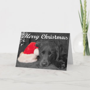 Foto eines schlafenden Chocolate Labradors neben e Feiertagskarte