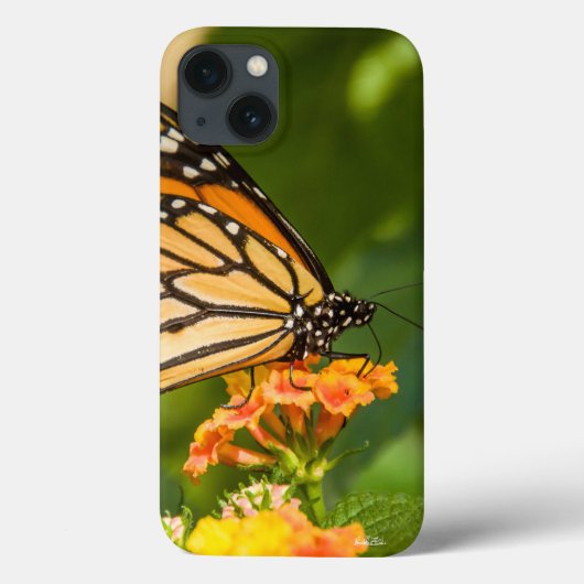 Foto eines Schmetterlinges auf einer Blume Case-Mate iPhone Hülle (Rückseite)
