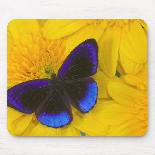 Foto eines Schmetterlings Mousepad (Vorne)