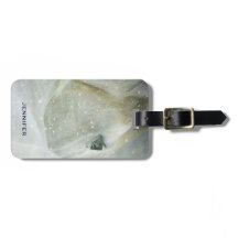 Foto eines schönen Weißen Pferdes im Winter