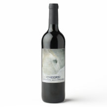 Foto eines schönen Weißen Rösses zum Geburtstag