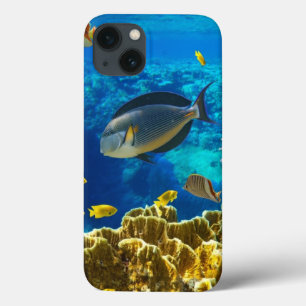 Foto eines tropischen Fisches auf einem Case-Mate iPhone Hülle