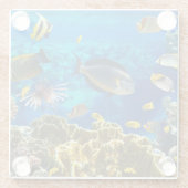 Foto eines tropischen Fisches auf einem Glasuntersetzer (Rückseite)