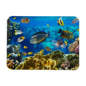 Foto eines tropischen Fisches auf einem Korallenri Magnet (Horizontal)
