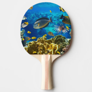 Foto eines tropischen Fisches auf einem Tischtennis Schläger
