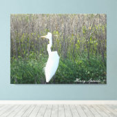 Foto eines wilden Egret auf der Leinwand. Leinwanddruck (Insitu (Holzboden))
