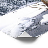 Foto "Elch Snow Scene" (Ecke)