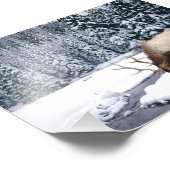 Foto "Elch Snow Scene" (Ecke)