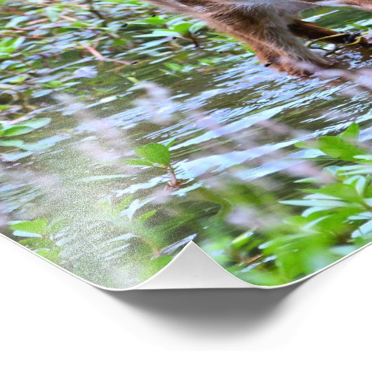 Foto Erweiterung (Ecke)