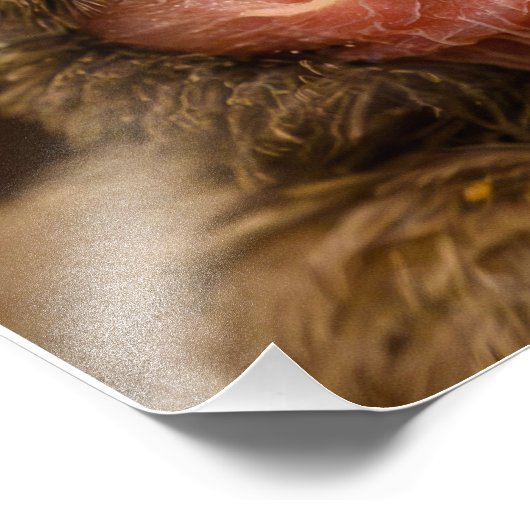 Foto-Erweiterung Fotodruck (Ecke)