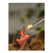 Foto-Erweiterung Fotodruck (Vorne)