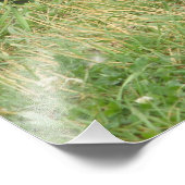 Foto-Erweiterung für Mallard Fotodruck (Ecke)