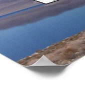 Foto Familienbaum Poster zum  der Reflektion (Ecke)