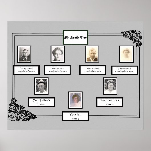 Foto Familienbaum Rose Zeichnend Grenze auf Grau Poster (Vorne)
