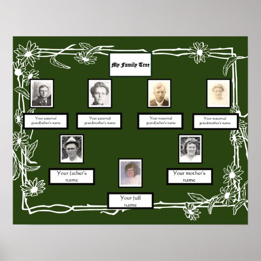 Foto Family Tree Daisy Art Border on Green Poster (Vorne)