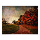 Foto - Farbe (Vorne)