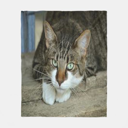 Foto Fleece Blanka für Haustiere (Vorderseite)