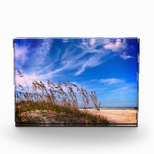 Foto "Florida Sea Oats" (Vorderseite)