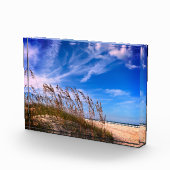 Foto "Florida Sea Oats" (Rechts)