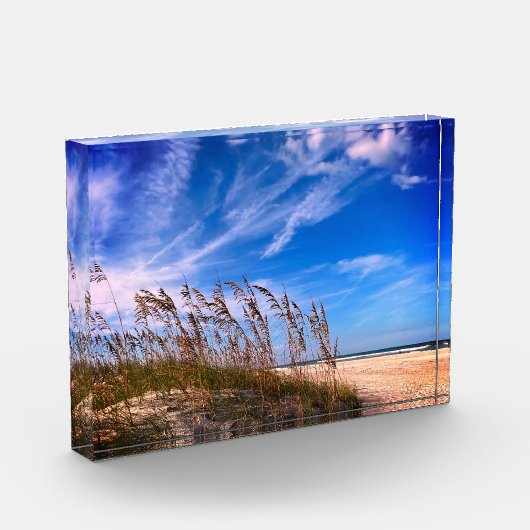 Foto "Florida Sea Oats" (Links)