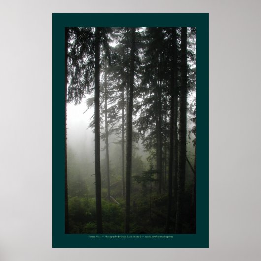 Foto "FOREST MIST" im Wildniswald Poster (Vorne)