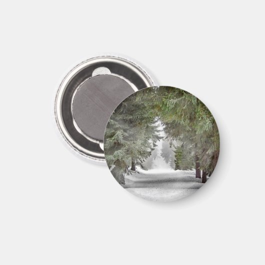 Foto "Forest Road Snow Pine Tree" Magnet (Vorderseite/Rückseite)