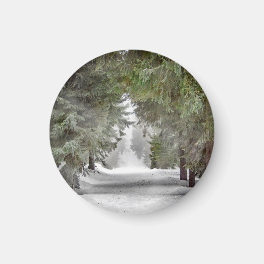 Foto "Forest Road Snow Pine Tree" Magnet (Vorne)