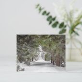 Foto "Forest Road Snow Pine Tree" Postkarte (Stehend Vorderseite)